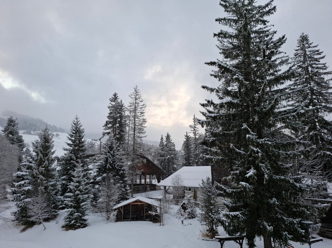 Pensione Amalia主图