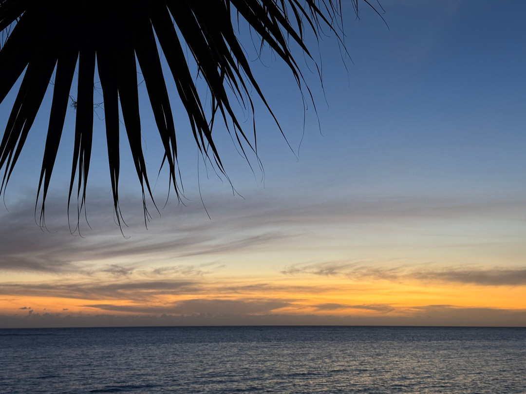 Sorrel Bay Retreat Aka Natanias主图