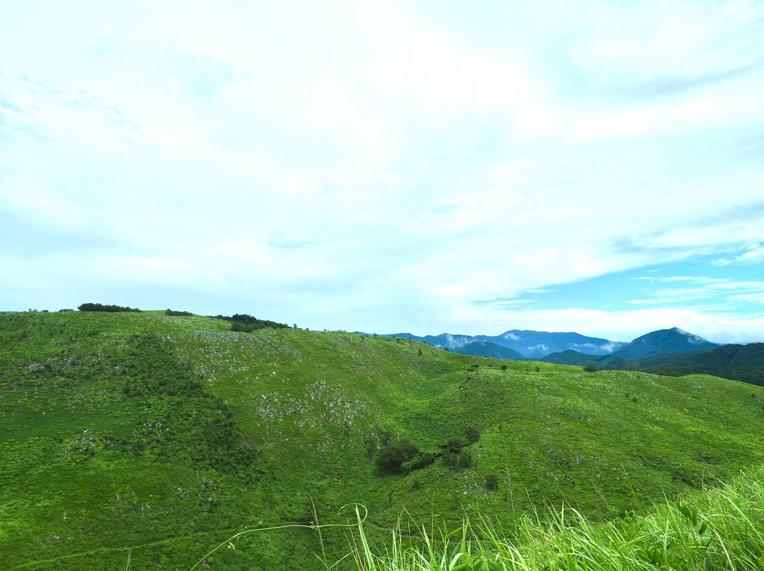 Mine Akiyoshidai Geopark-美祢市必去景点