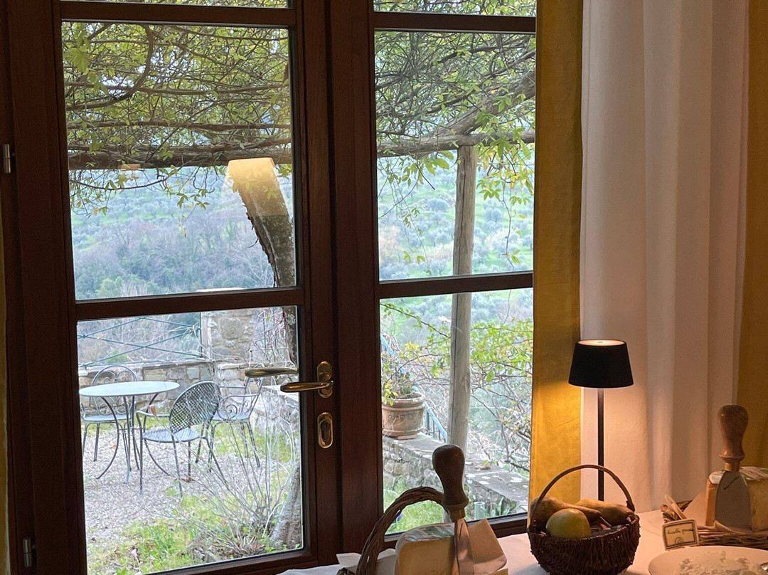 Villa Di Campolungo Agriturismo主图