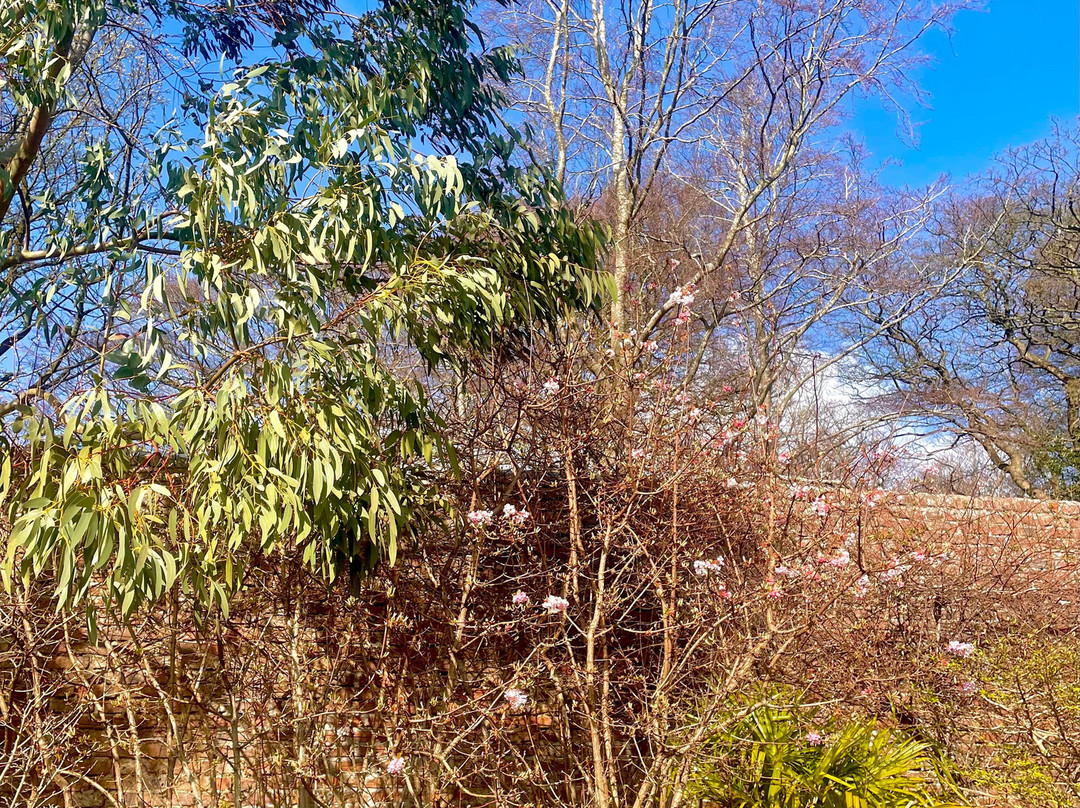 Persley Walled Garden-阿伯丁必去景点