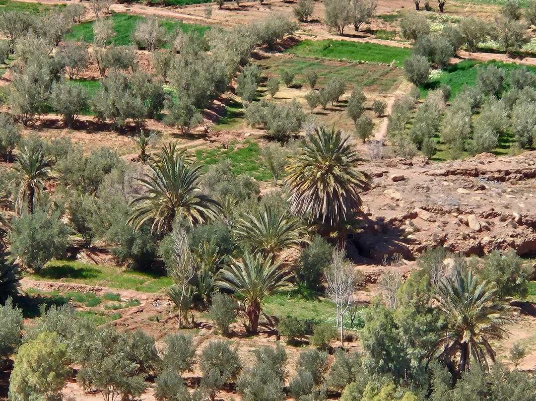 Ait Ben Haddou Kasbah-瓦尔扎扎特必去景点