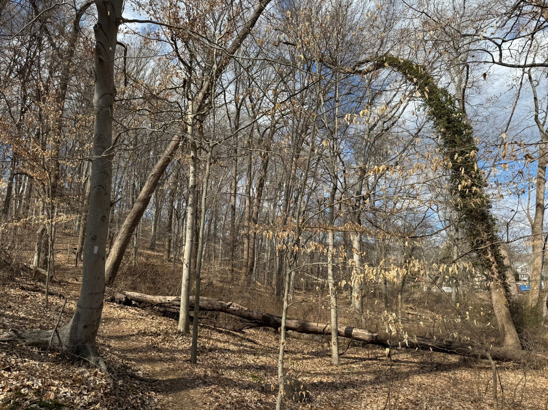 Gunpowder Falls State Park-Kingsville必去景点