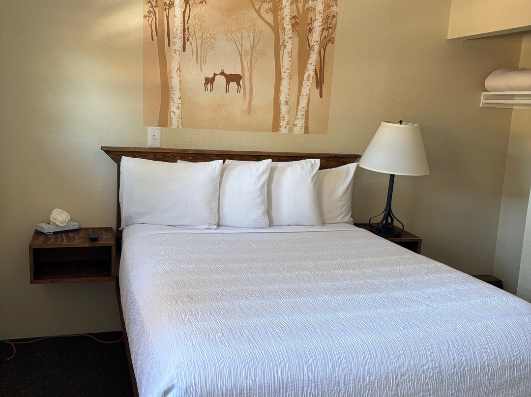 Murphy's River Lodge主图