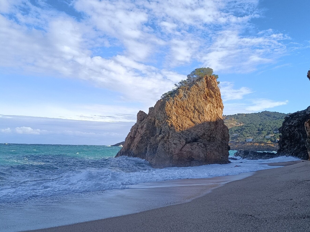 Platja De L'Illa Roja景点图片