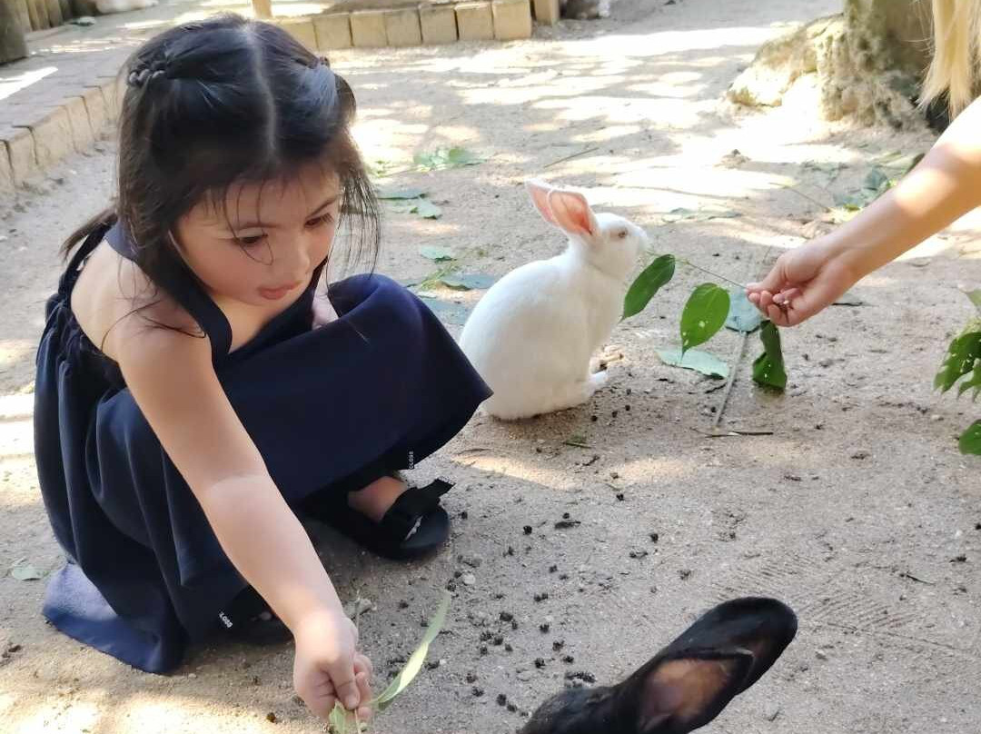 South Farm Panglao- Bohol-Panglao必去景点