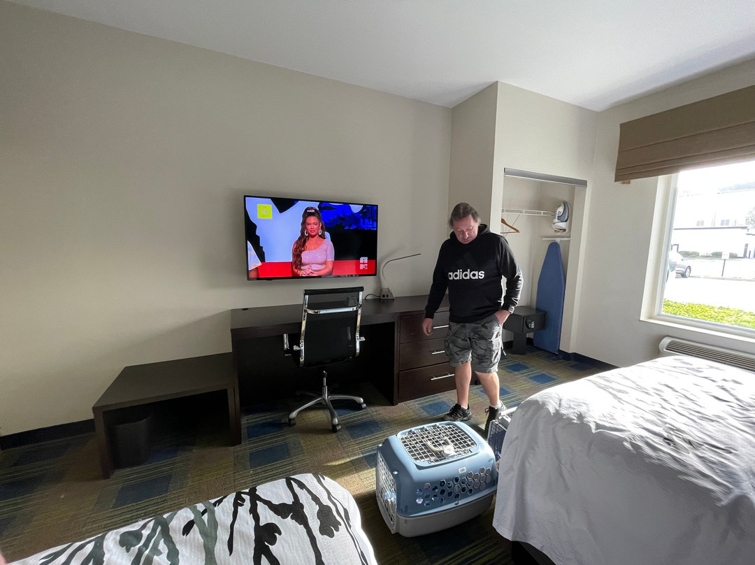 Sleep Inn & Suites Smyrna主图