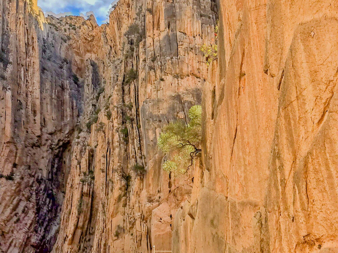 Tajo De Las Tres Cruces-El Chorro必去景点