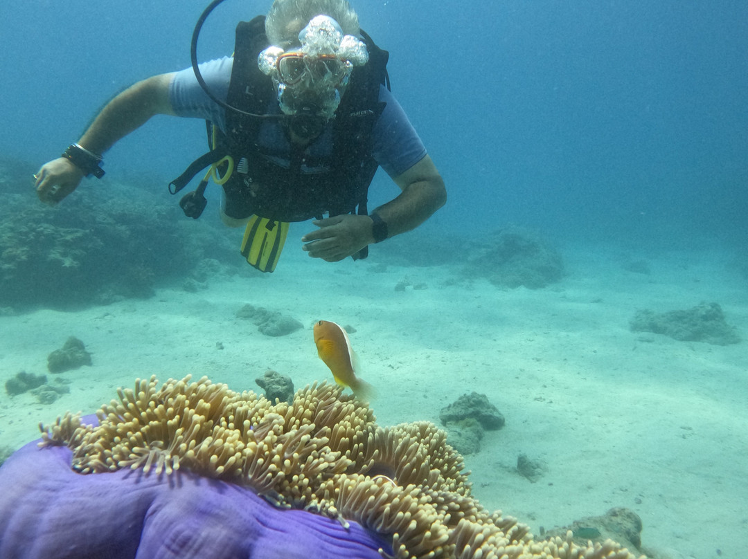 Barefoot Scuba-哈夫洛克岛必去景点