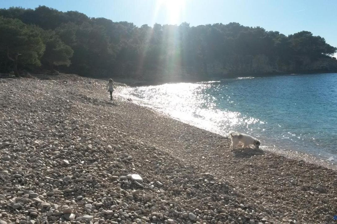 Kuca Roza