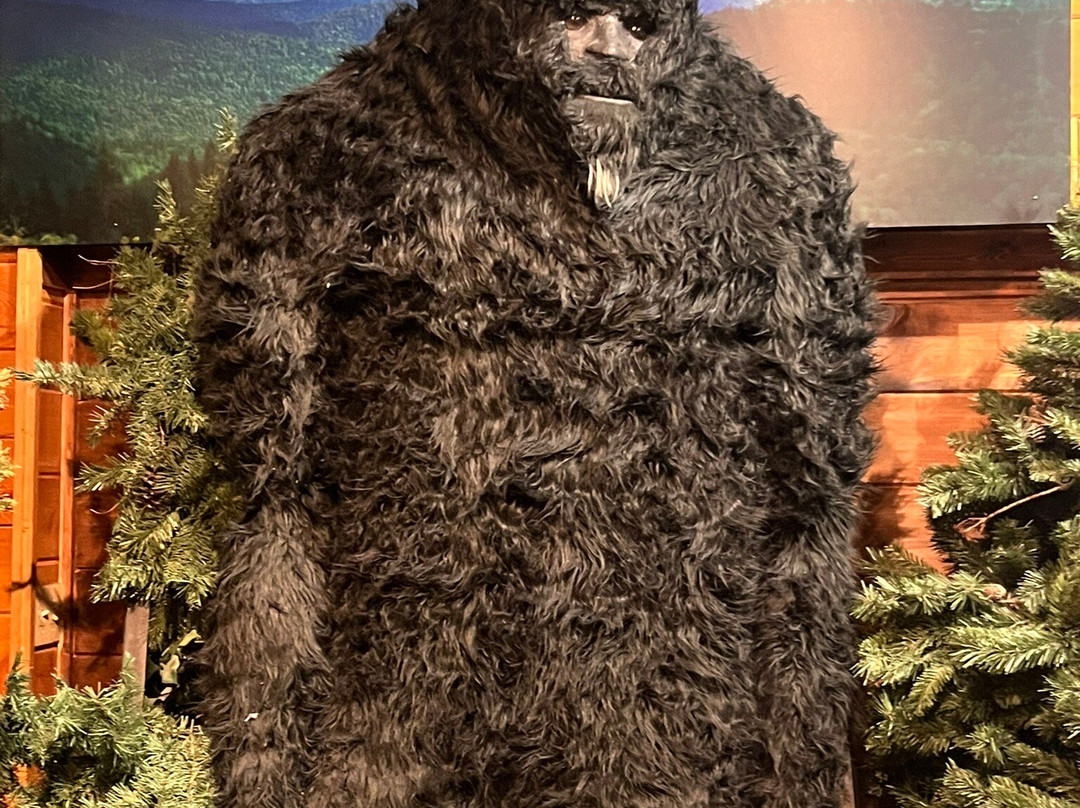 Expedition:BIGFOOT!-Cherry Log必去景点