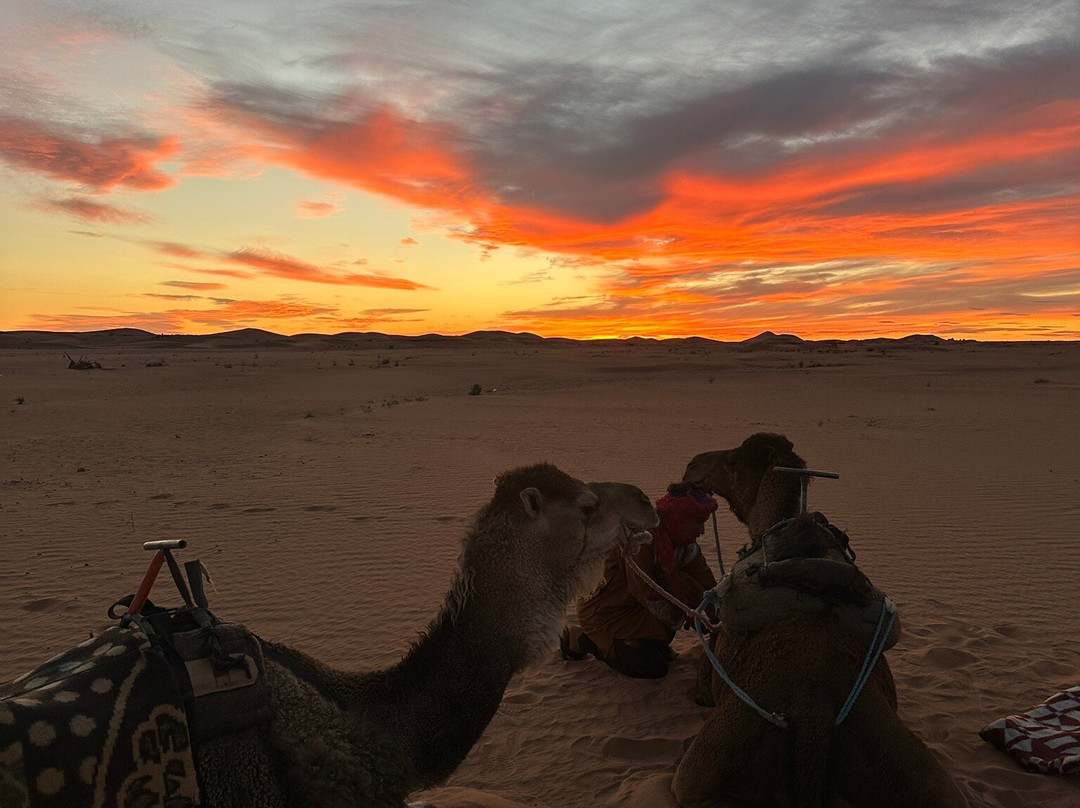 Sahara Dream Tours-伊拉悉迪亚必去景点