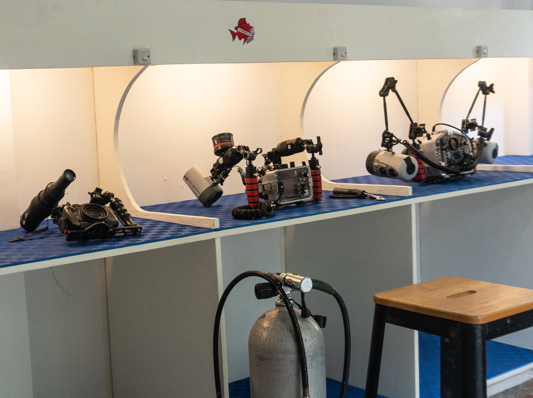 菲国海洋探索潜水中心-岛印必去景点