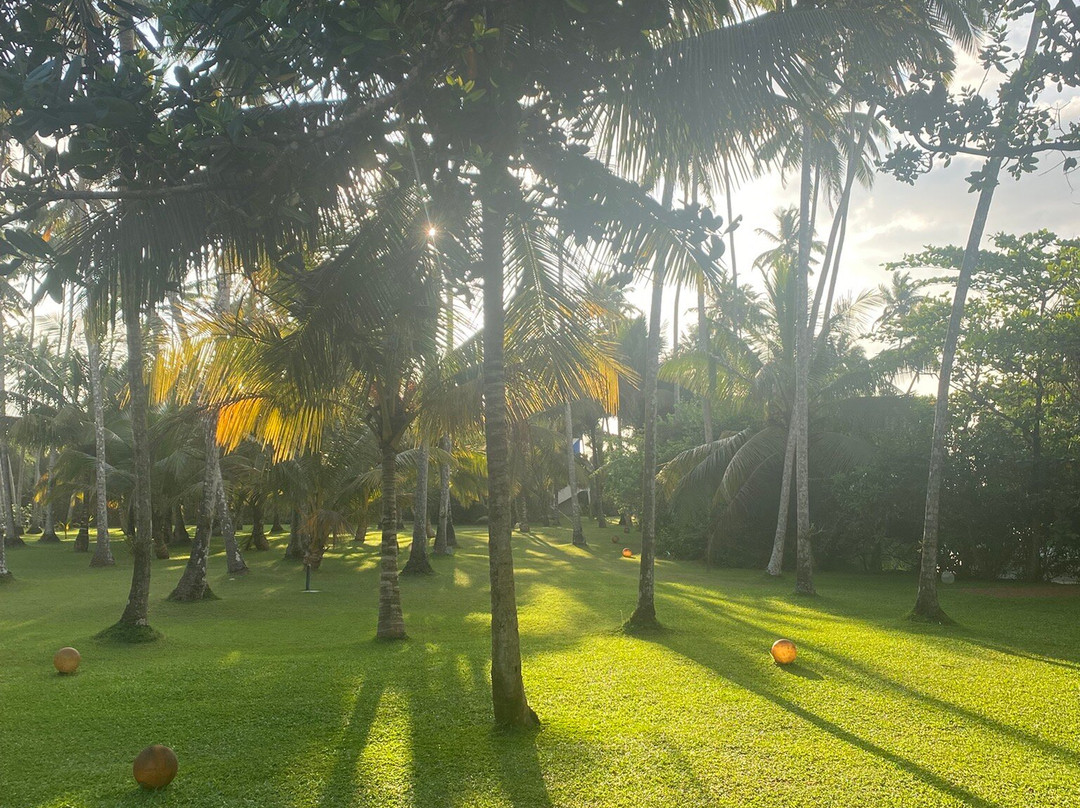 One World Foundation主图