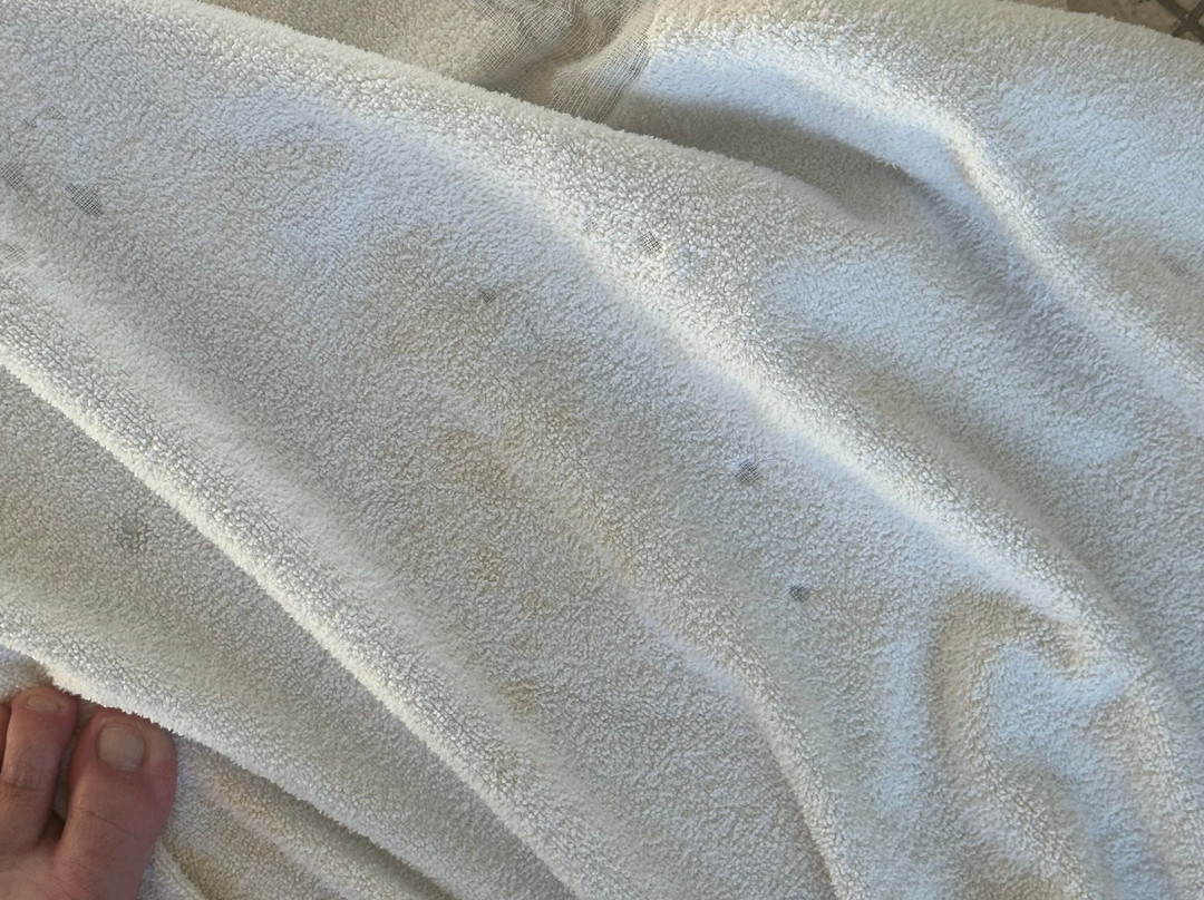 Comfort Suites University主图