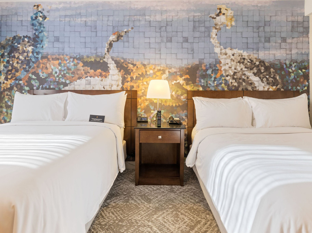 voco Laguna Hills by IHG主图