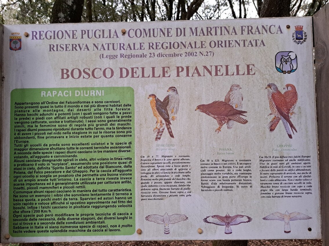 Bosco delle Pianelle Natural Reserve-马丁纳弗兰卡必去景点