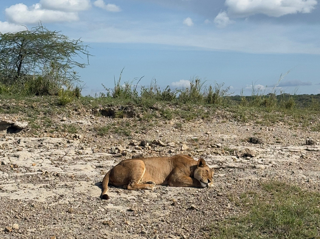 Alpine Chat Adventure-莫西必去景点