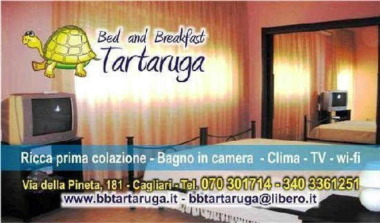B & B La Tartaruga主图
