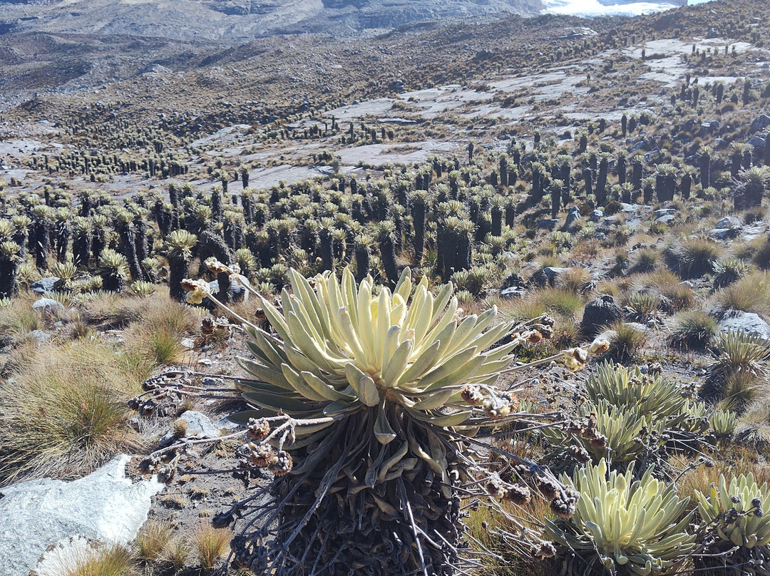 El Cocuy National Natural Park景点图片