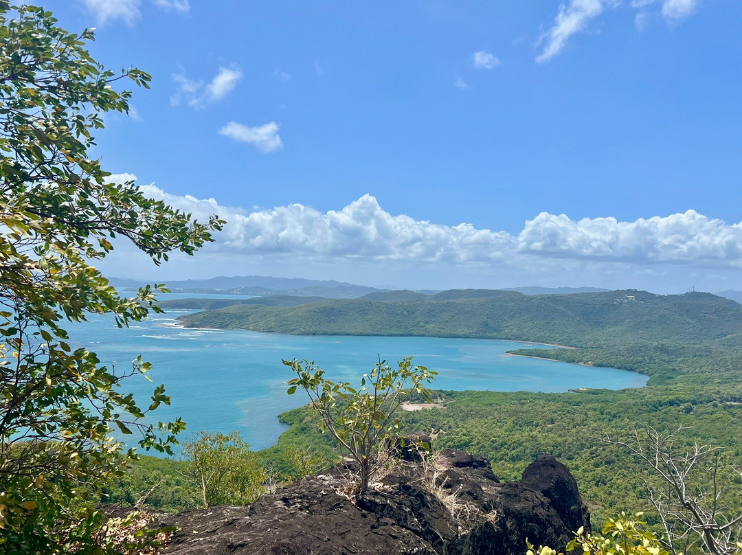 Presqu'ile de la Caravelle-Tartane必去景点