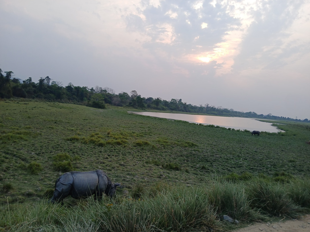 Kaziranga Jeep Safari Assam-Kohora必去景点