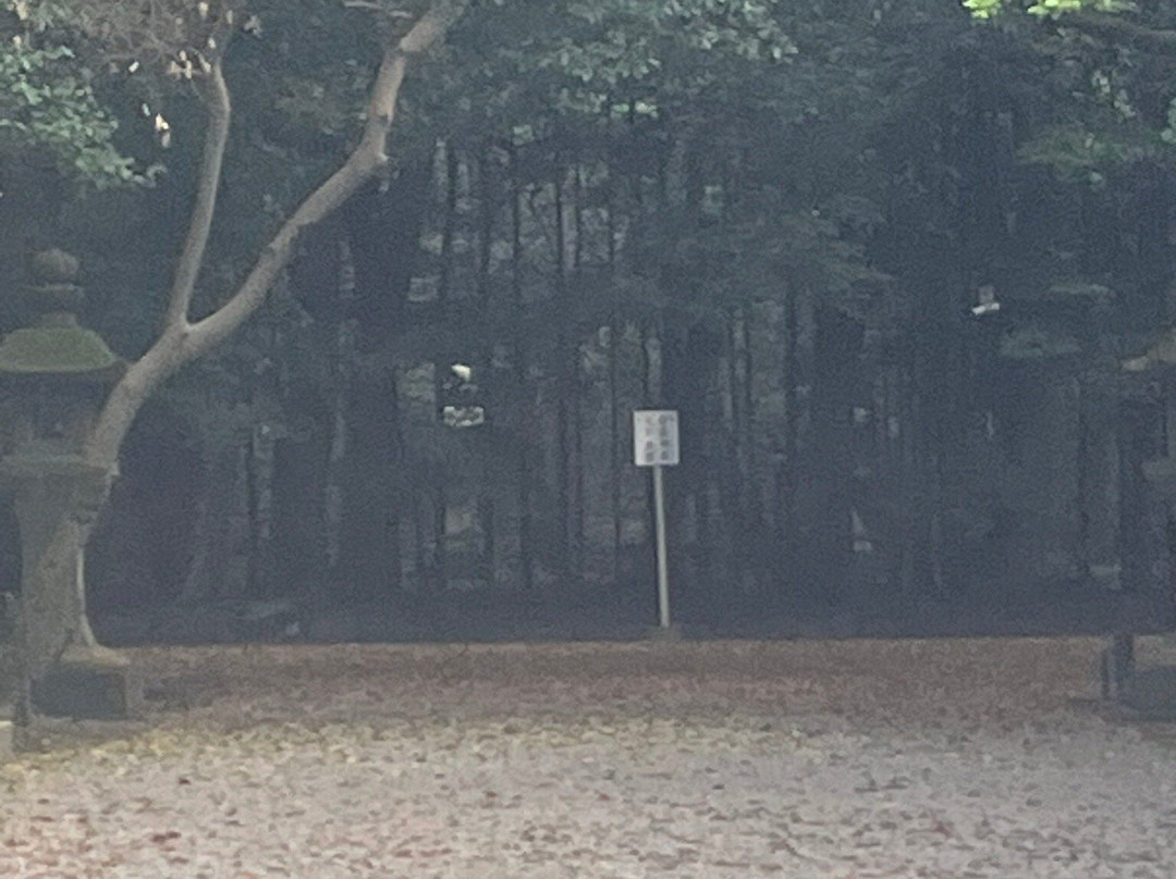 Hinokumajingu Kunikakasujingu景点图片