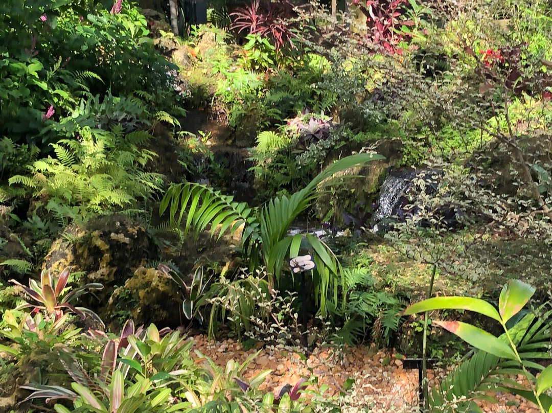 Deerfield Beach Arboretum-迪尔菲尔德比奇必去景点