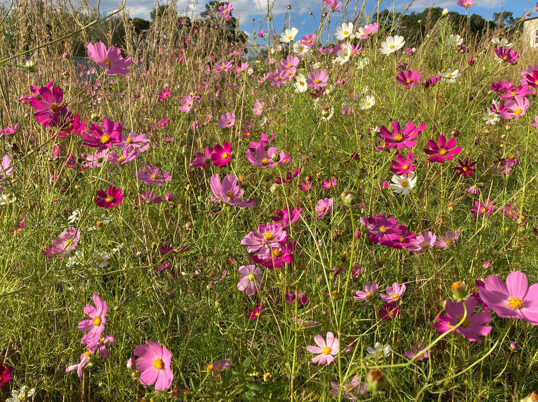 Stoneybrook Ranch Bed and Breakfast主图