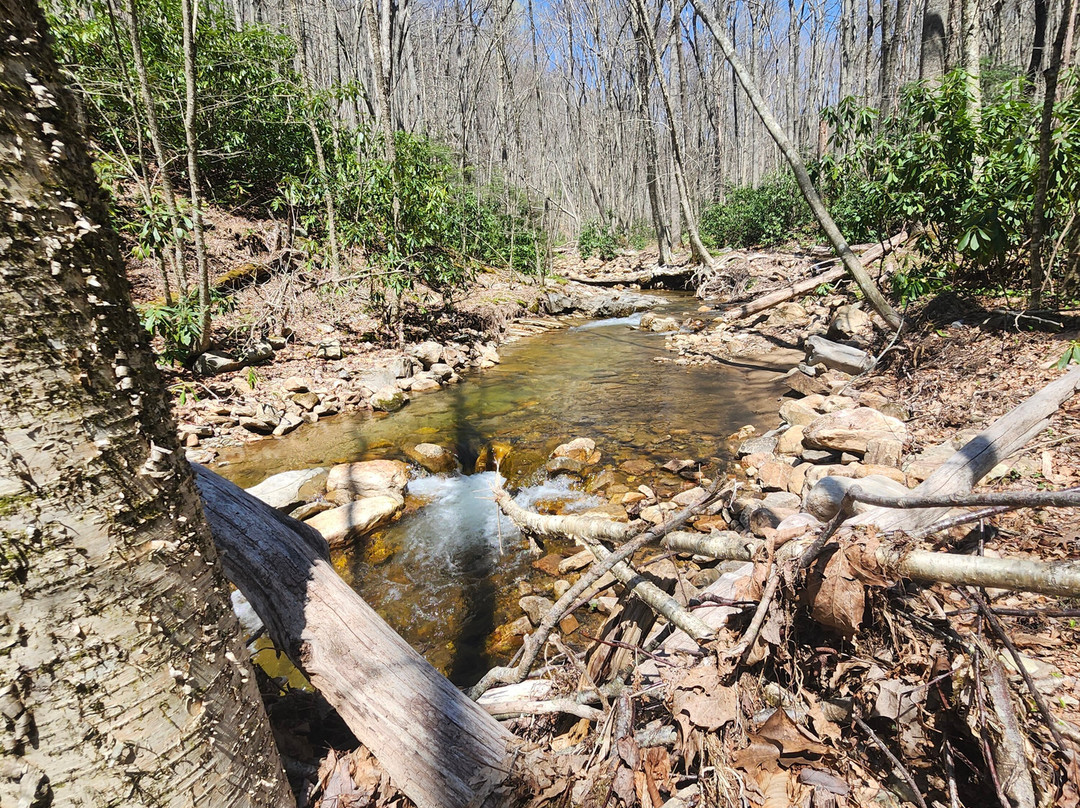 Gentry Creek Falls景点图片