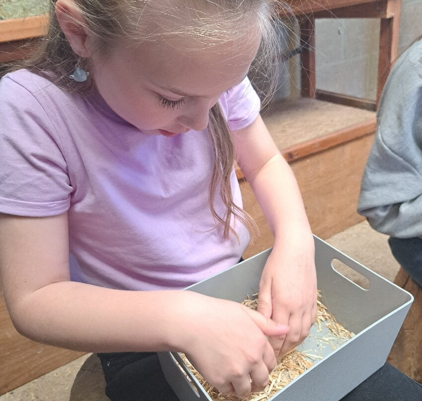 Melsop Farm Park-Watton必去景点