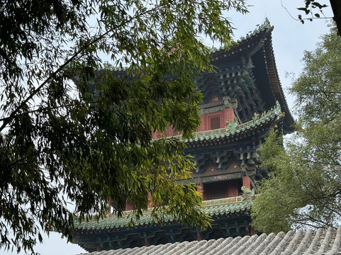 CK Martial Hearts (Shaolin Temple)-登封市必去景点
