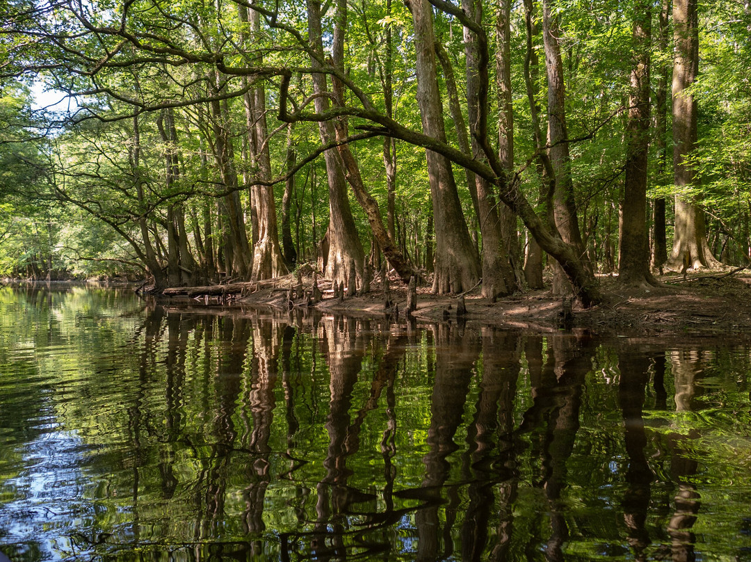 Carolina Outdoor Adventures景点图片