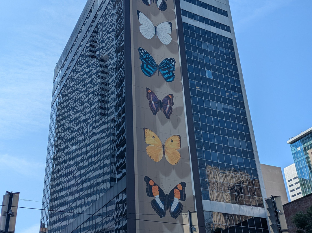 休斯敦市中心皇冠假日酒店主图