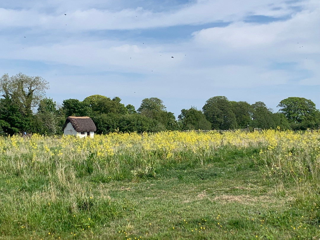 RSPB Campfield Marsh Nature Reserve-Bowness on Solway必去景点