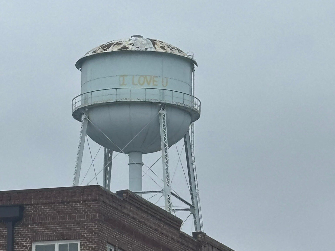 Georgia Tour Company-Senoia必去景点