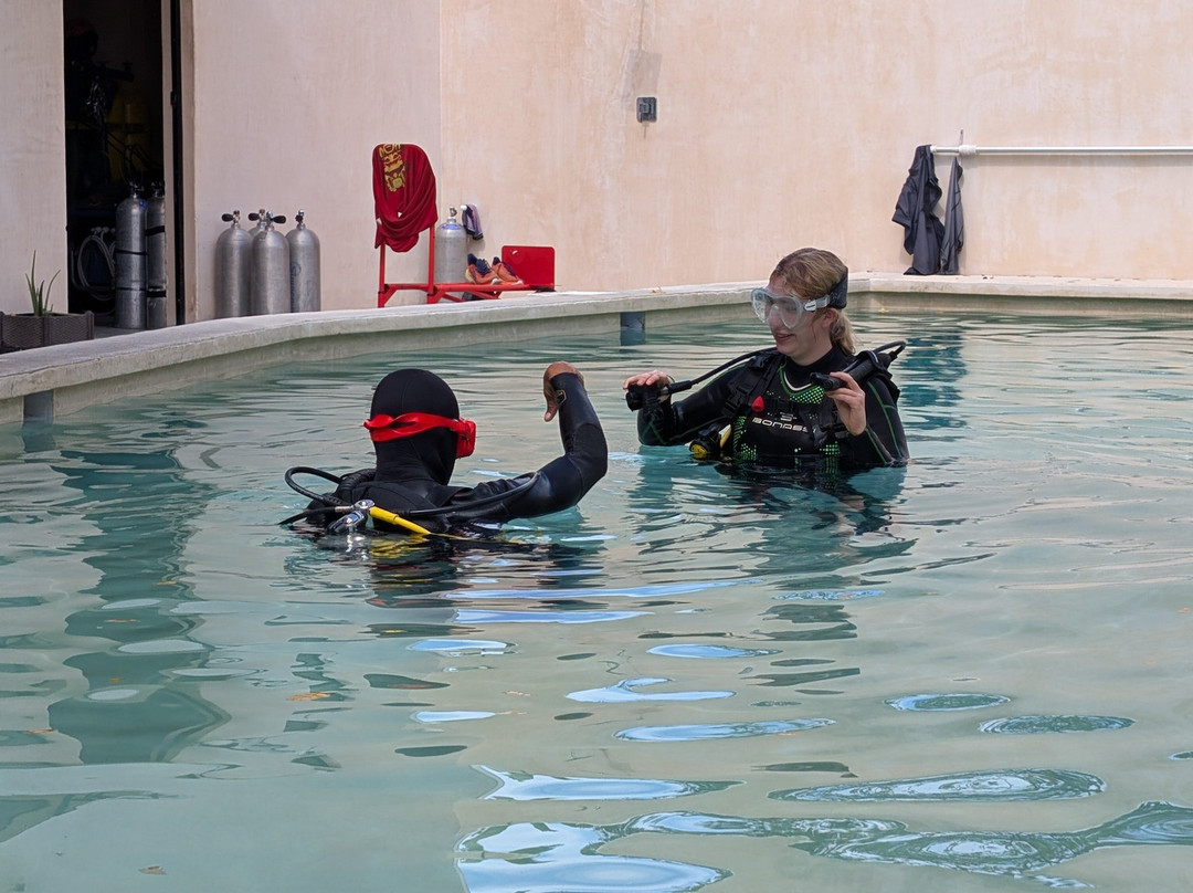 The Dive Machine-普拉亚德尔卡曼必去景点