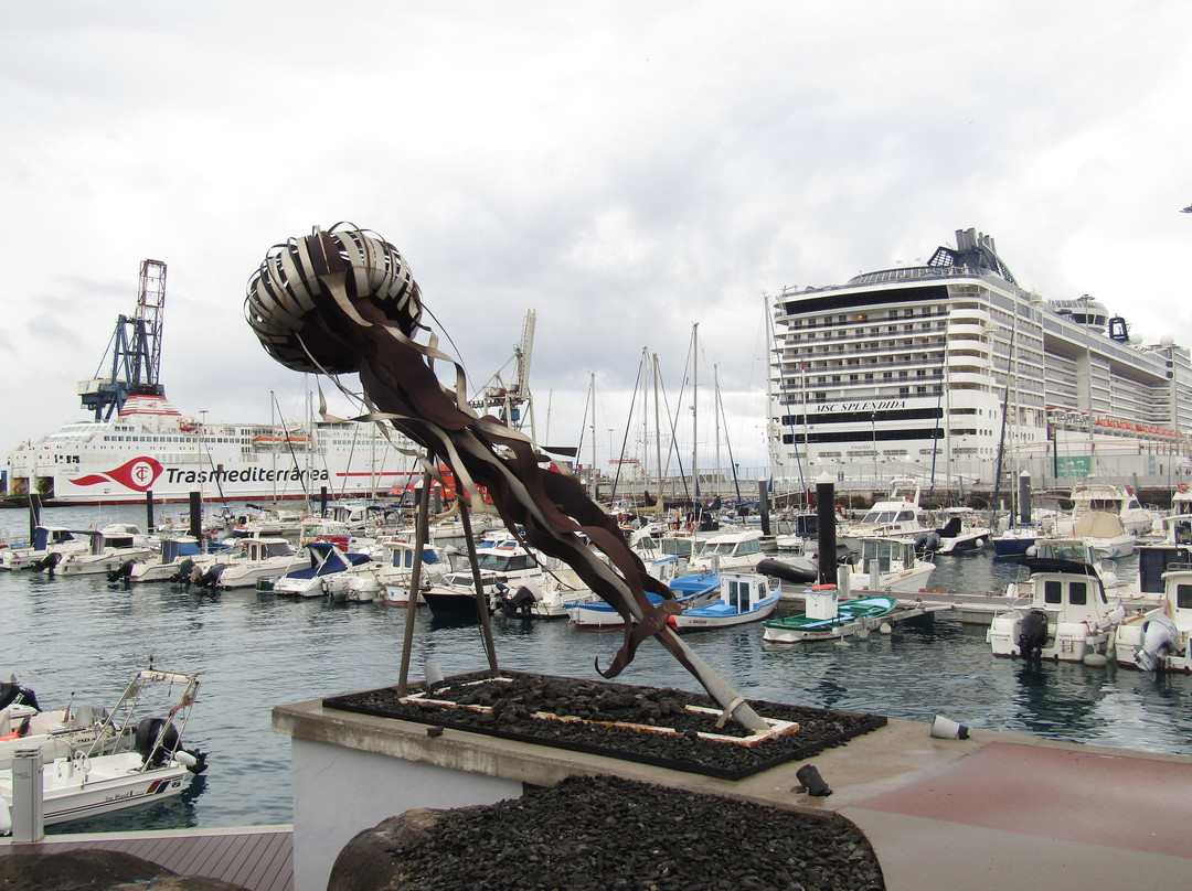 Sculpture Park Puerto Del Rosario景点图片