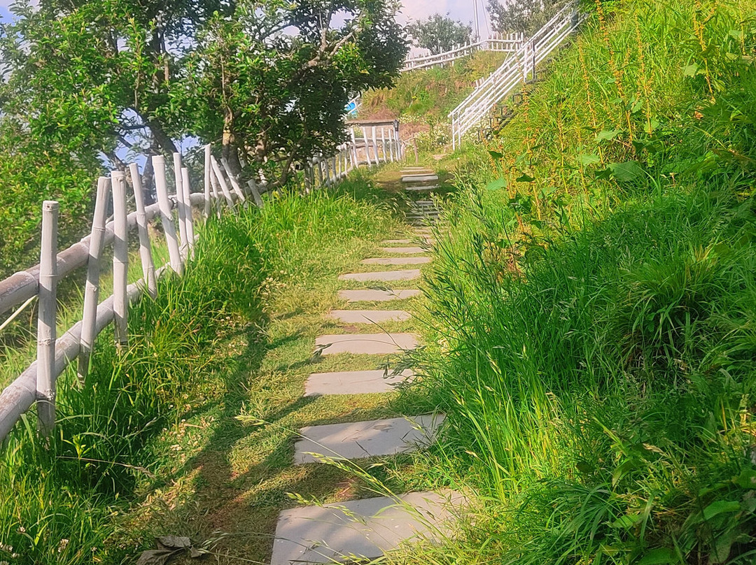 The Woods by Aaryam主图