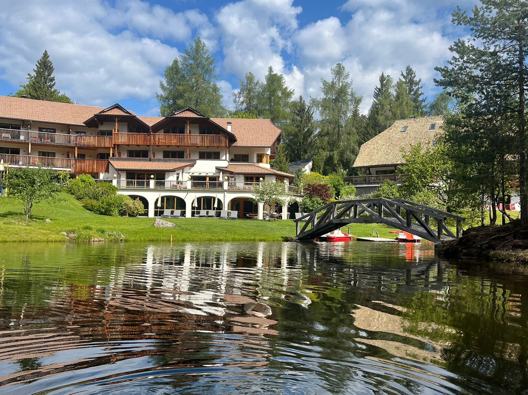 Hotel Am Wolfsgrubenersee主图