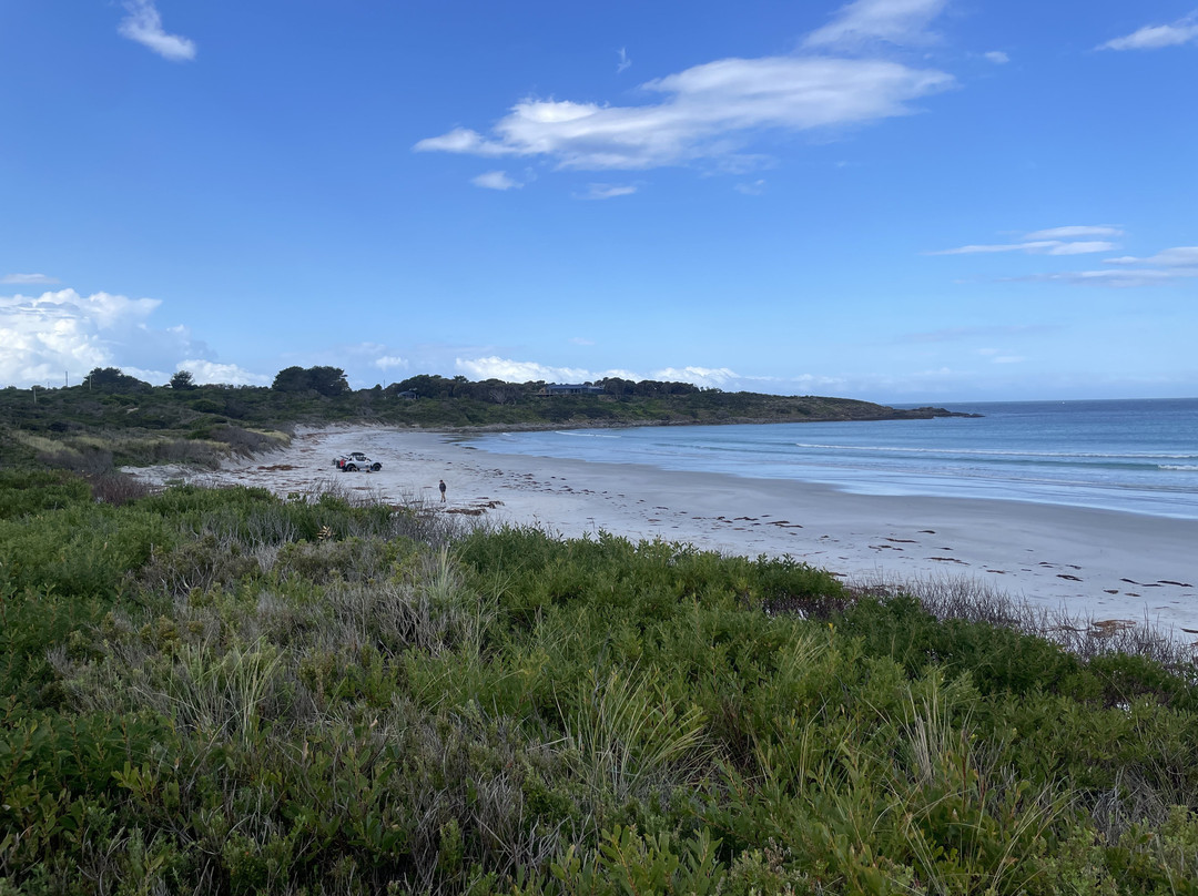 Seymour Beach-比奇诺必去景点