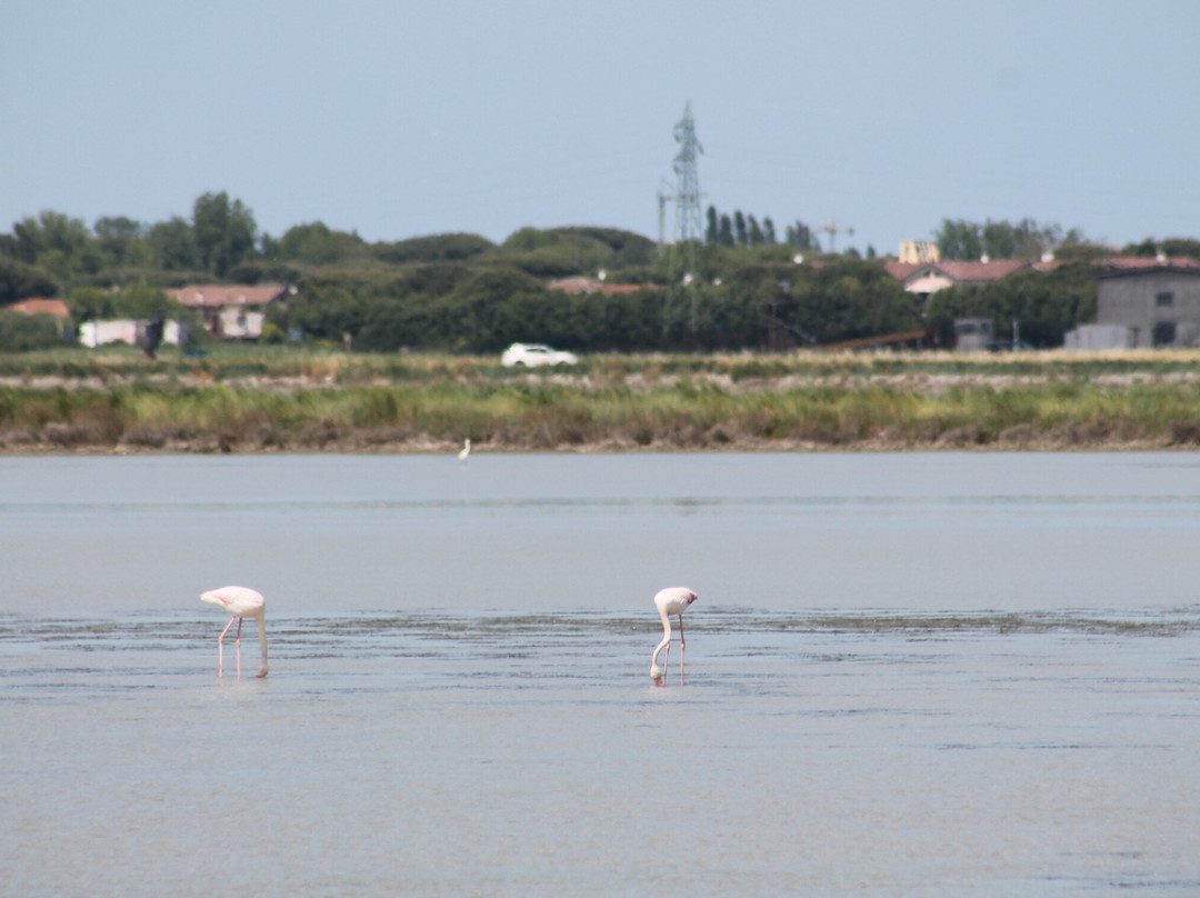 Salina di Cervia-切尔维亚必去景点