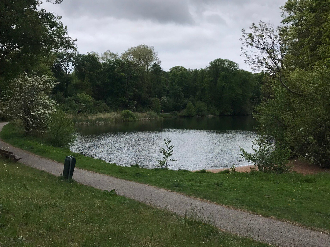 Brouwerskolkpark-Overveen必去景点
