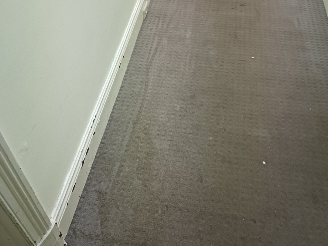 The Colliefields主图