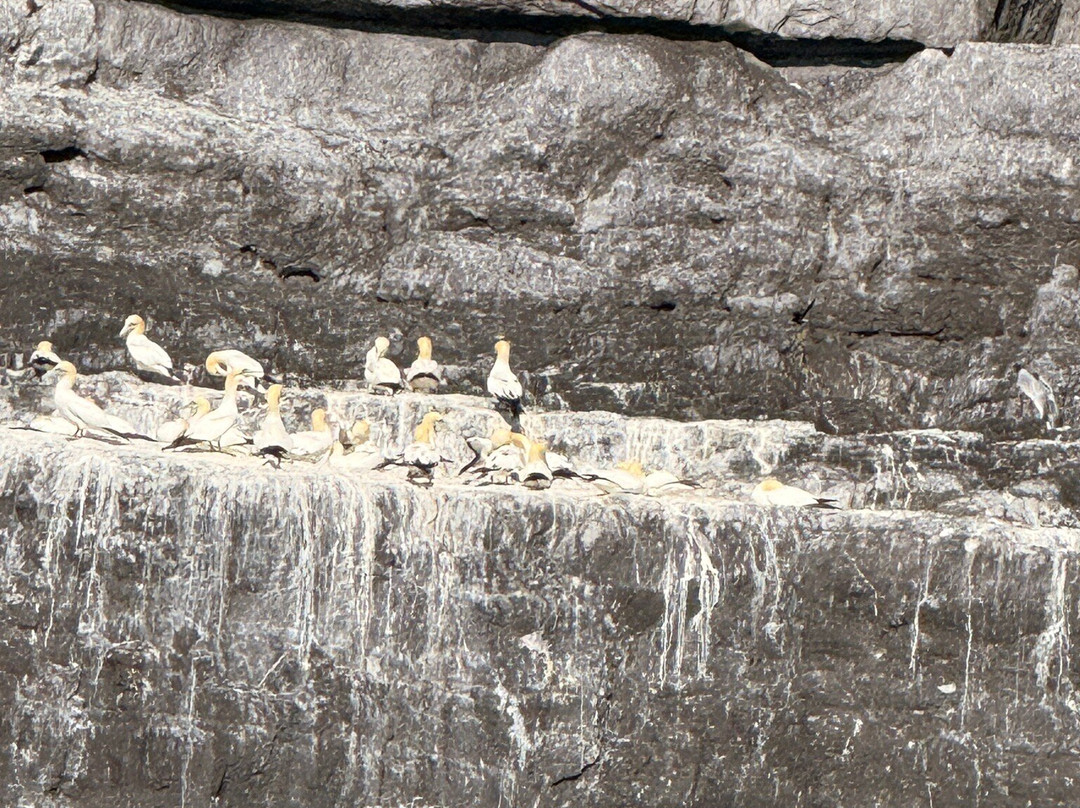 Carraig Liath House主图