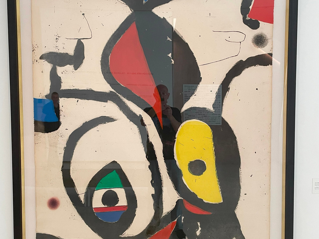 Museo de Arte Contemporaneo de Alicante (MACA)-阿利坎特省必去景点