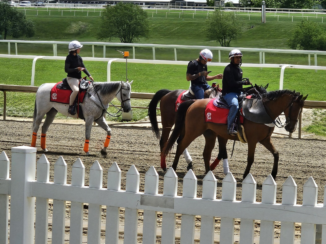 Laurel Park Race Track-Laurel必去景点