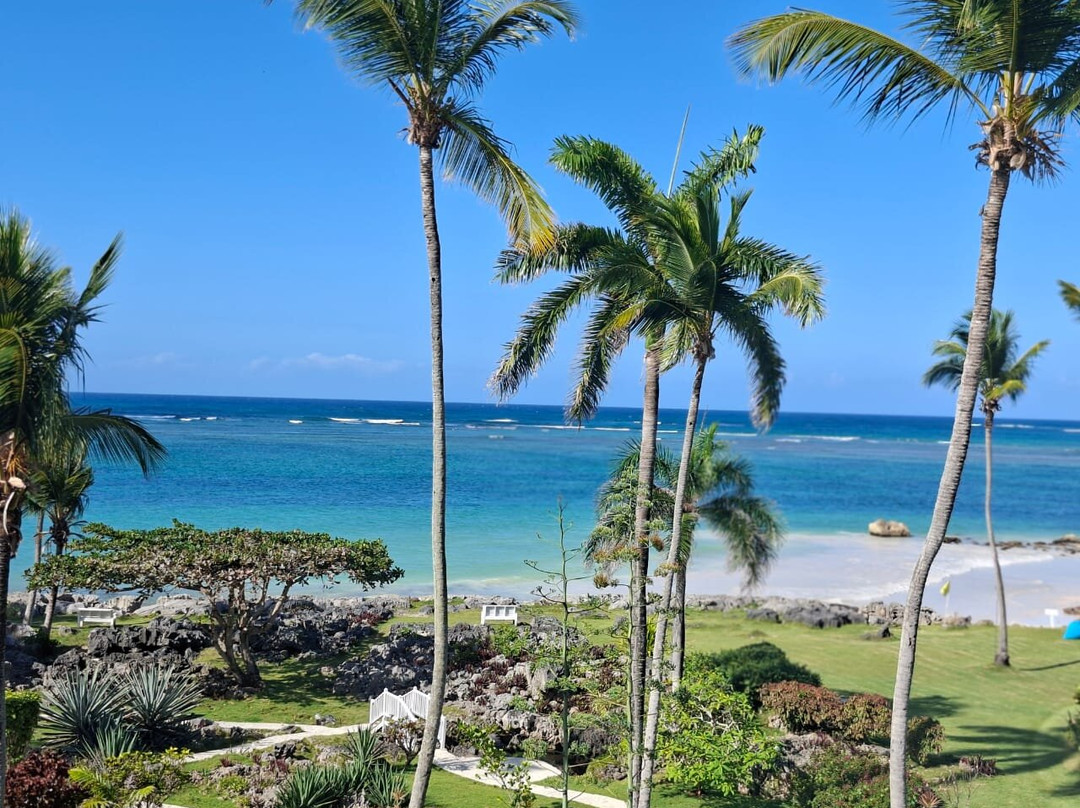 Hotel Villa Serena主图