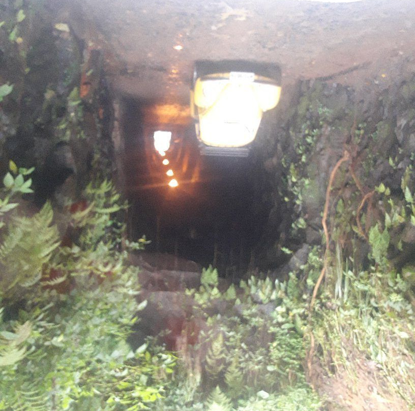Tunel Que Chora景点图片