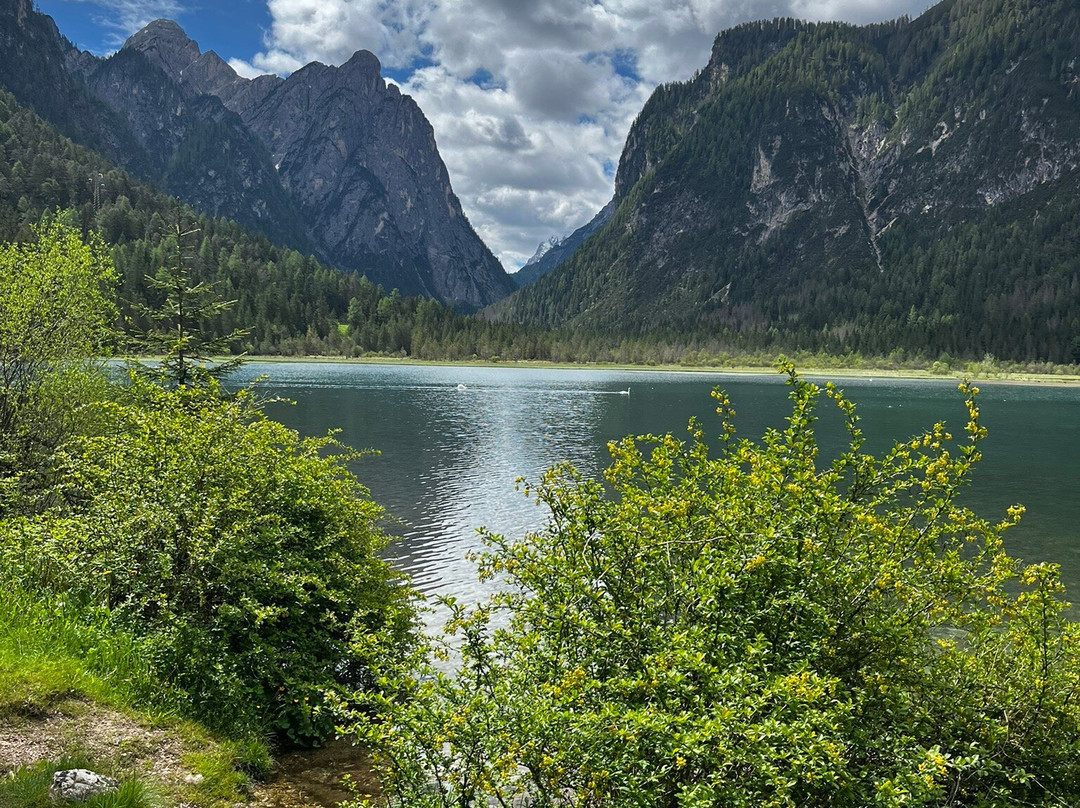 Lago di Dobbiaco景点图片